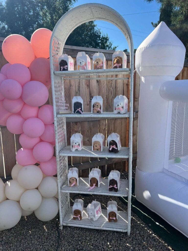 White arch shelf filled with party favor boxes next to pink balloons