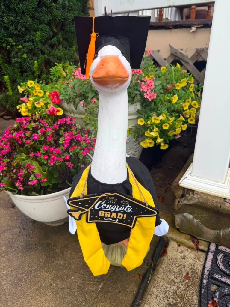Goose statue dressed in a black grad cap and Congrats Grad stole