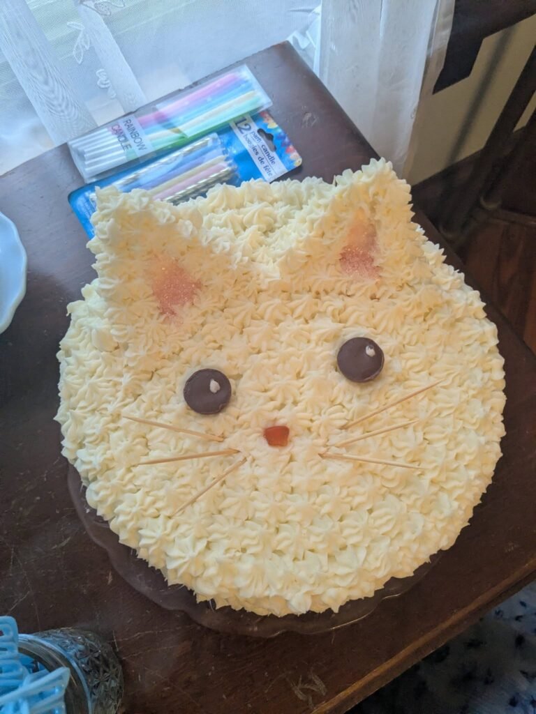 Cat face birthday cake with piped buttercream fur and pink ears
