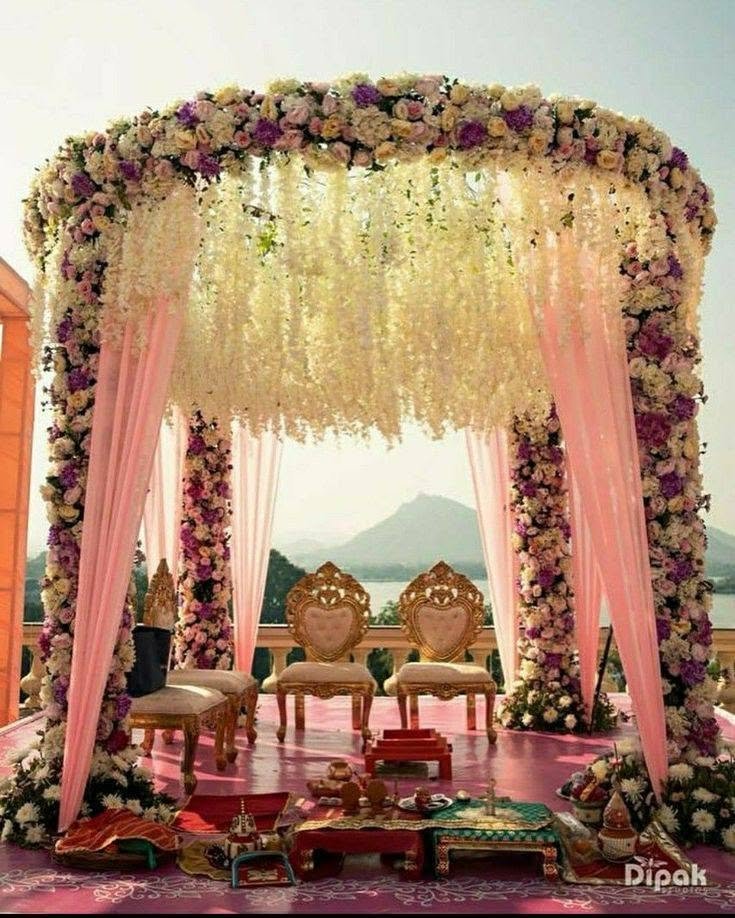 Mandap with pink drapes, cream flowers and gold chairs