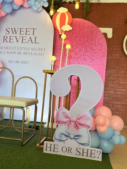 He or She question mark sign with a pink and blue bow and balloons in front of glitter panels
