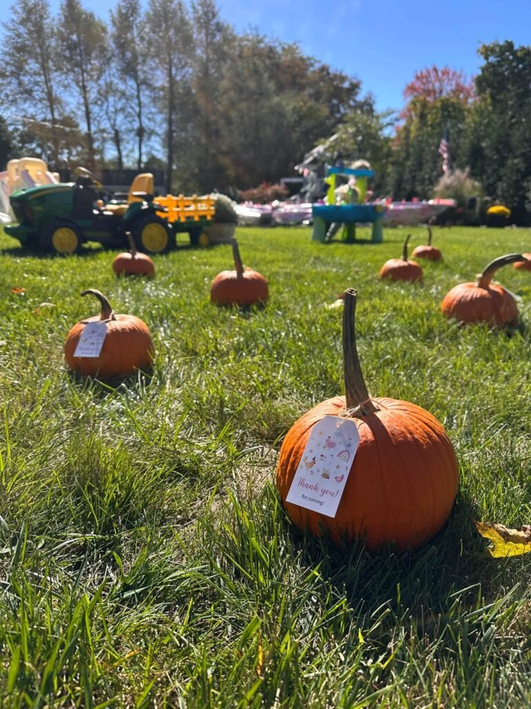 Pumpkins with name tags spread on the lawn