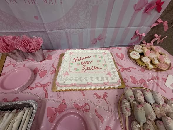 Welcome Baby sheet cake with pink bows next to chocolate dipped treats
