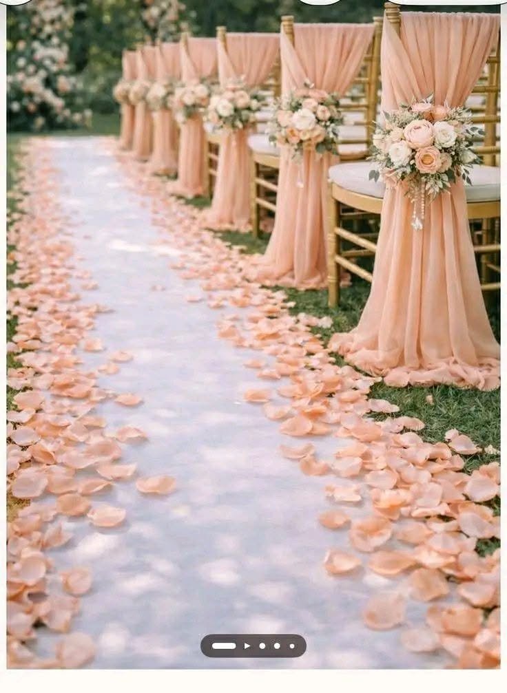 Wedding aisle with peach chair drapes and scattered petals