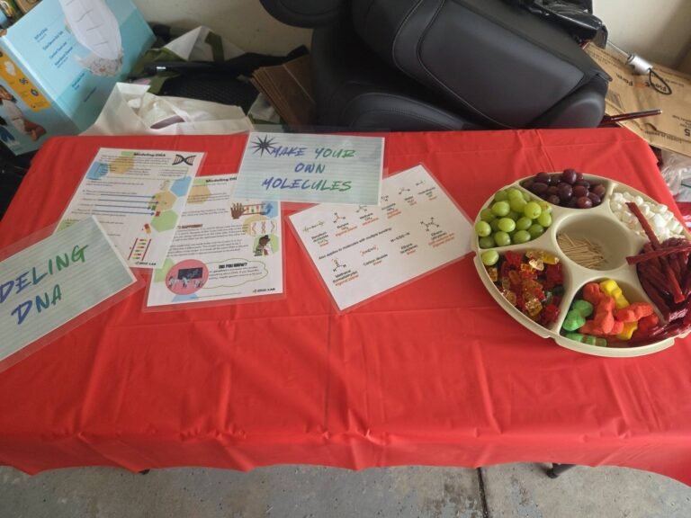 Spelling DNA station with candy and instruction cards